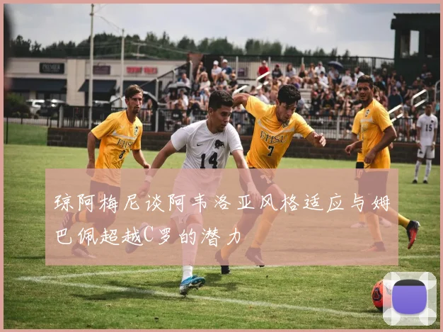 琼阿梅尼谈阿韦洛亚风格适应与姆巴佩超越C罗的潜力