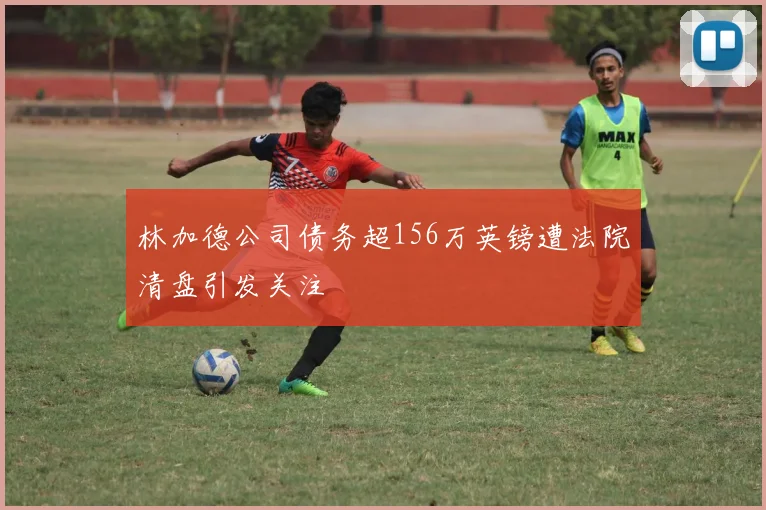 林加德公司债务超156万英镑遭法院清盘引发关注